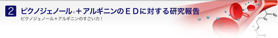ピクノジェノール+アルギニンのＥＤに対する研究報告